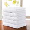 imageYoofoss Luxury Washcloths Towel Set 10 Pack Baby Wash Cloth for BathroomHotelSpaKitchen MultiPurpose Fingertip Towels ampamp Face ClothsWhite